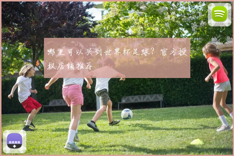 哪里可以买到世界杯足球？官方授权店铺推荐