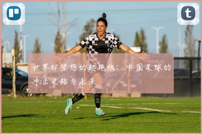 世界杯梦想的起跑线：中国足球的冲击之路与未来
